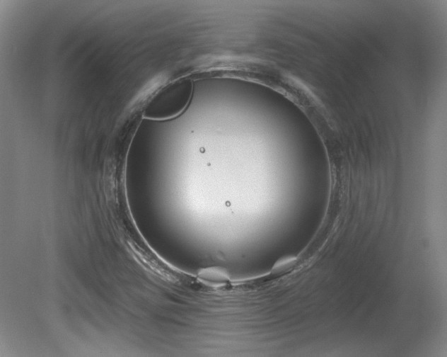 X0000080181403200612081349