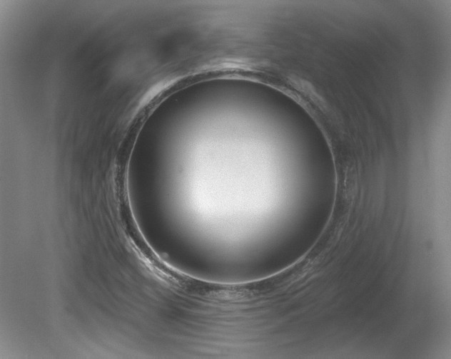 X0000080181404200612081349