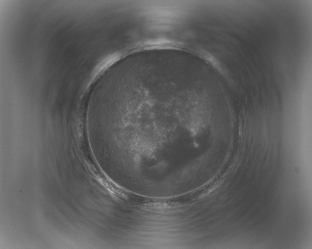 X0000080181405200612081349