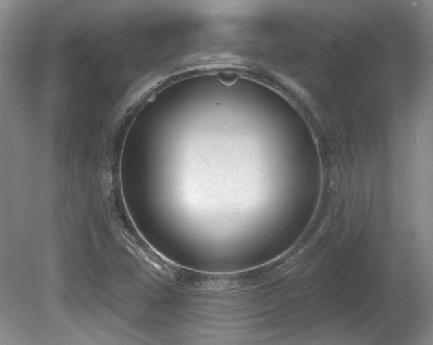 X0000080181407200612081349