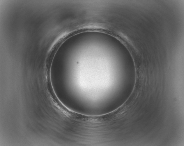 X0000080181408200612081349