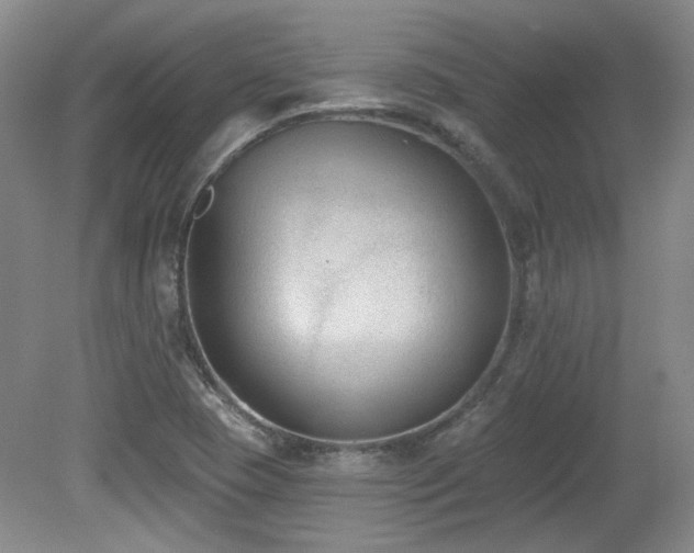 X0000080181409200612081349