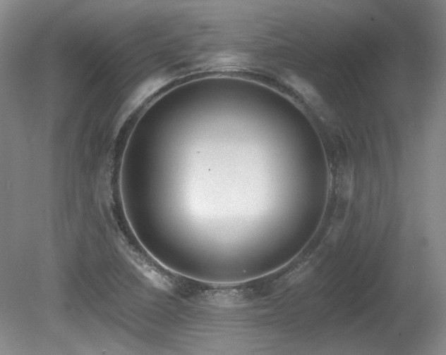 X0000080181410200612081349