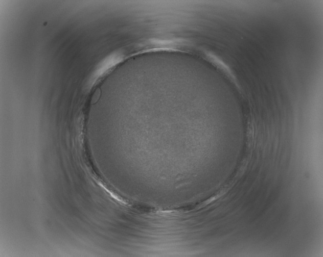 X0000080181411200612081349