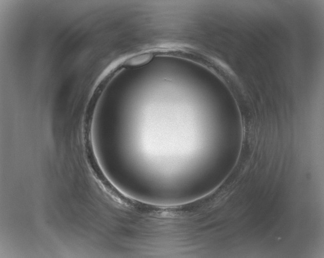 X0000080181412200612081349