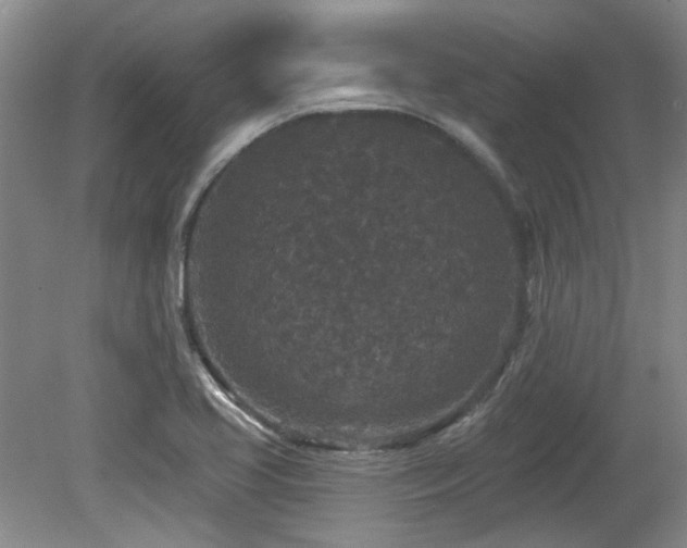 X0000080181413200612081349