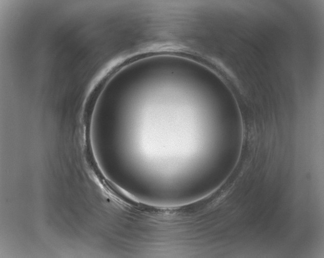 X0000080181414200612081349