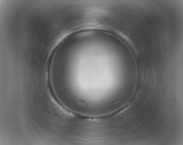 X0000080181415200612081349