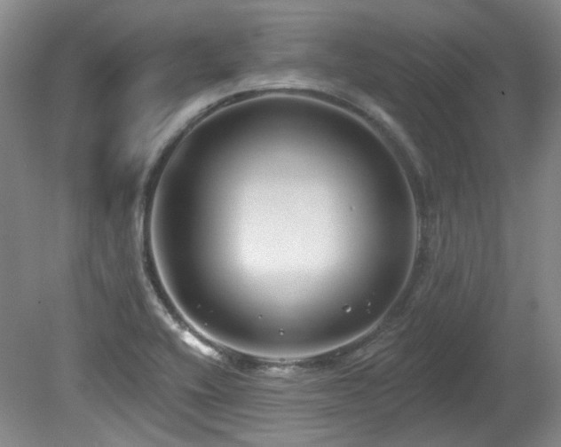 X0000080181416200612081349