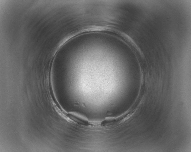 X0000080181417200612081349