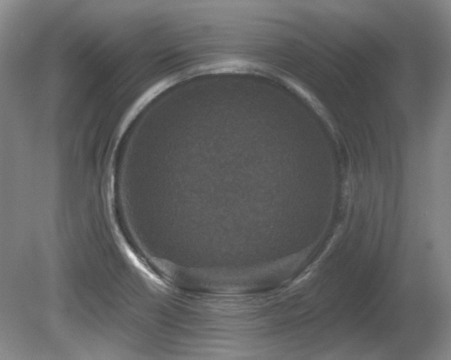 X0000080181418200612081349