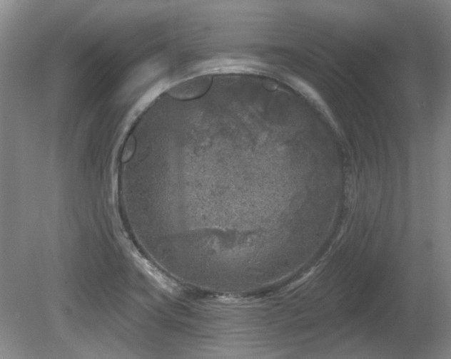 X0000080181419200612081349