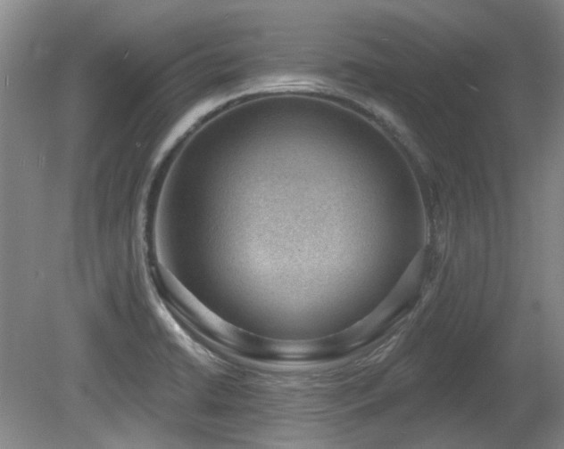 X0000080181422200612081349