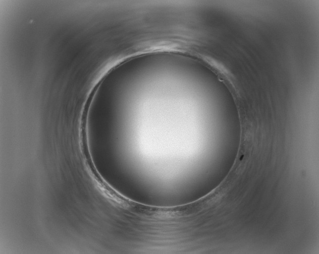 X0000080181423200612081349