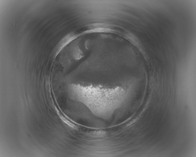 X0000080181425200612081349