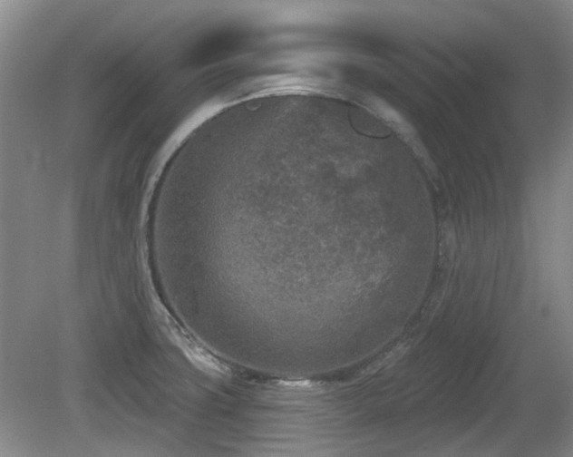 X0000080181427200612081349