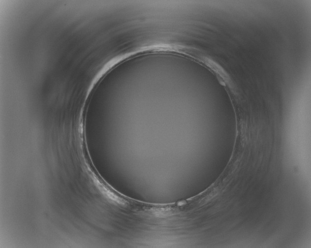 X0000080181428200612081349