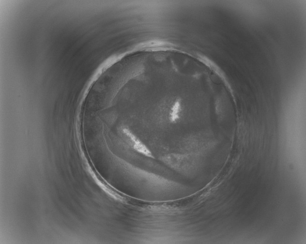 X0000080181429200612081349