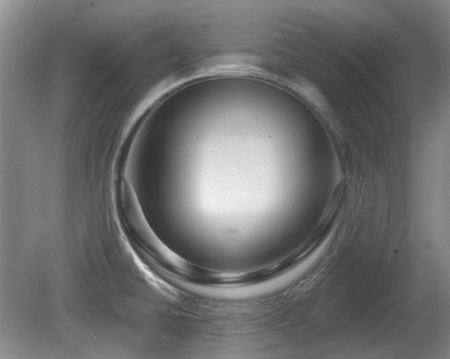 X0000080181430200612081349