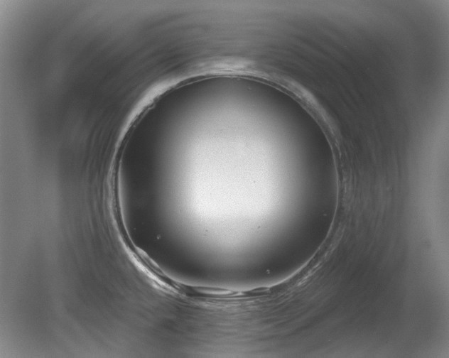 X0000080181432200612081349