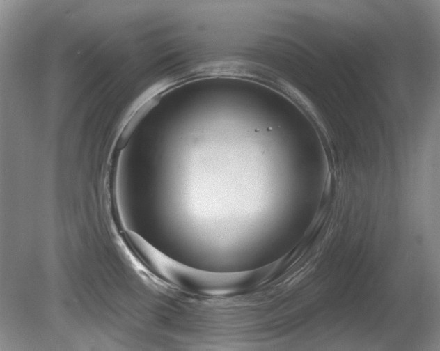 X0000080181434200612081349