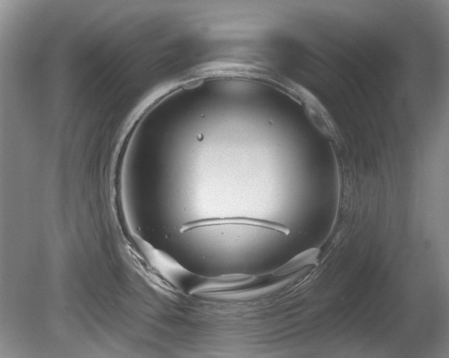 X0000080181435200612081349