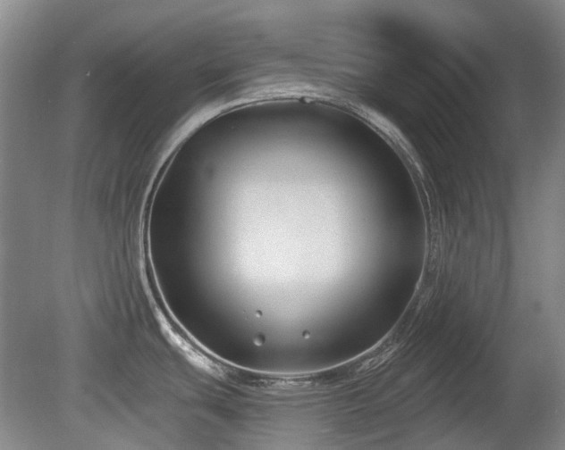 X0000080181439200612081349