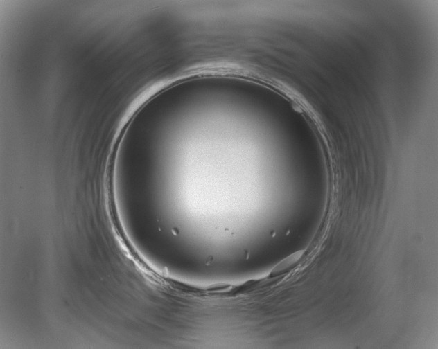 X0000080181440200612081350