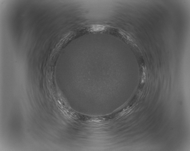 X0000080181441200612081349