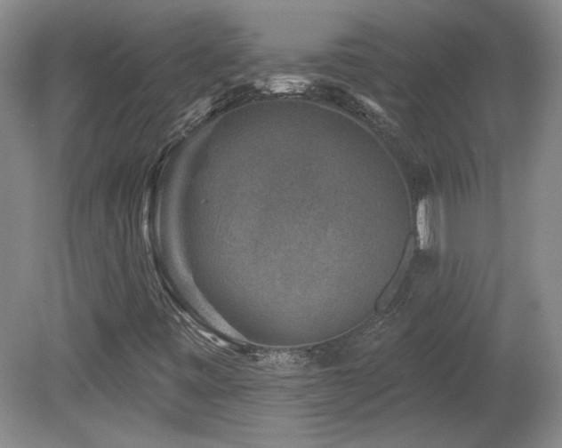 X0000080181443200612081349