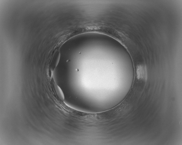 X0000080181444200612081349