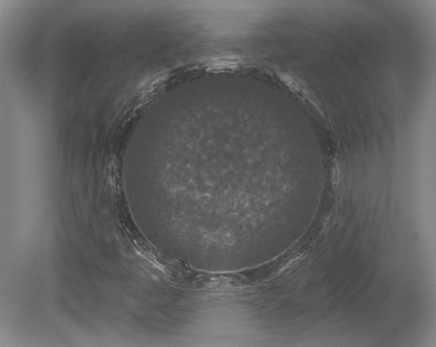 X0000080181445200612081349