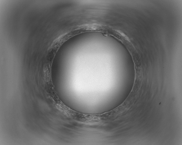 X0000080181446200612081349