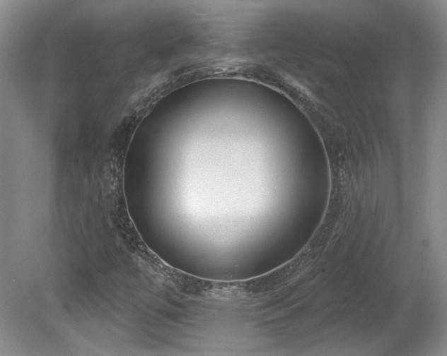 X0000080181447200612081349