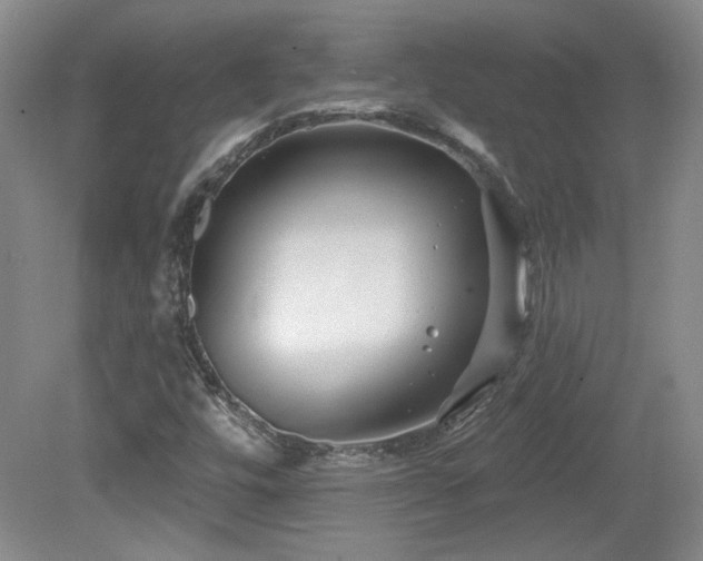 X0000080181448200612081349