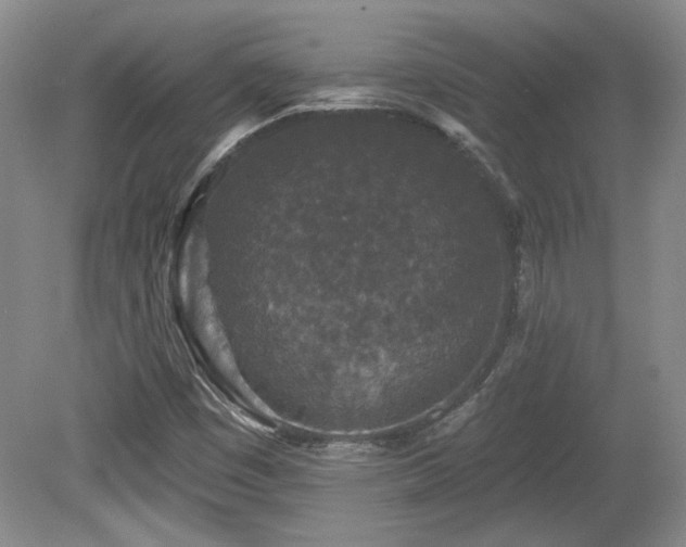 X0000080181449200612081349