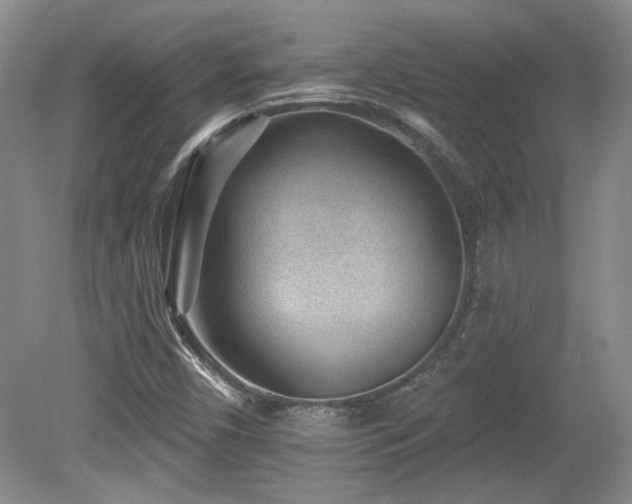 X0000080181450200612081349