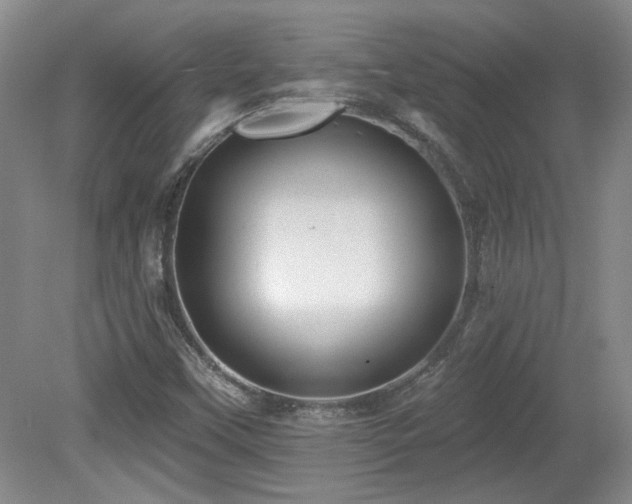 X0000080181451200612081349