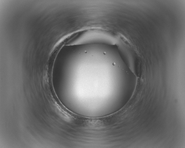 X0000080181452200612081349