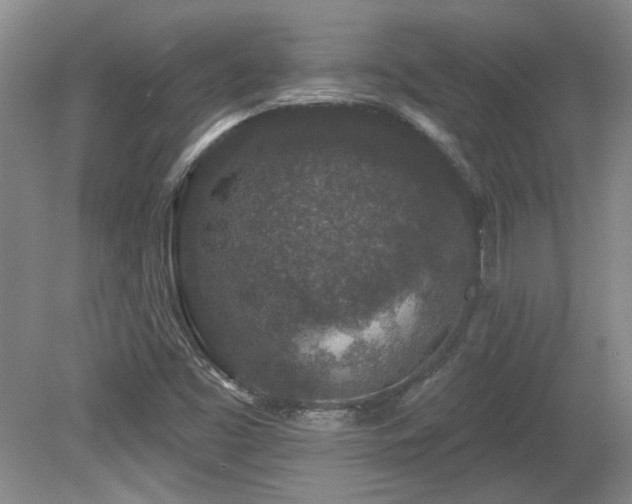 X0000080181453200612081348