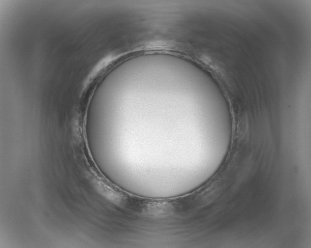 X0000080181454200612081348