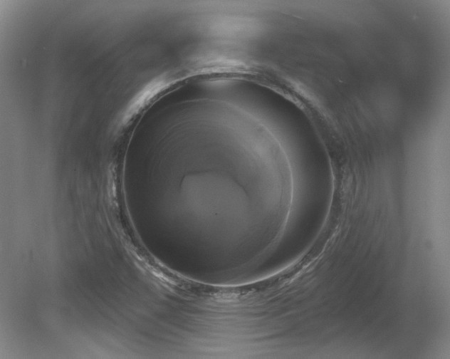 X0000080181455200612081348