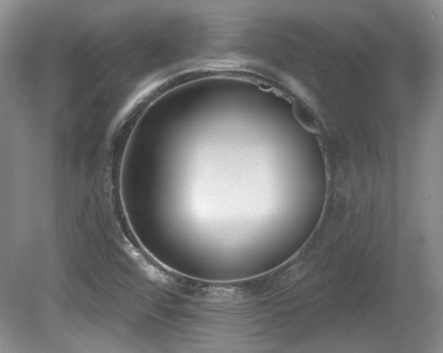 X0000080181456200612081348