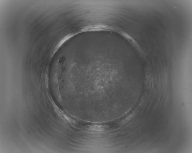 X0000080181457200612081348