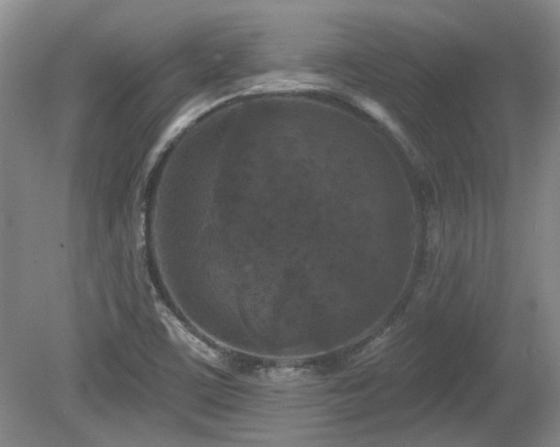 X0000080181459200612081348