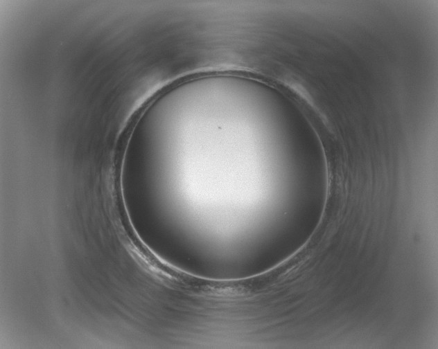 X0000080181460200612081348