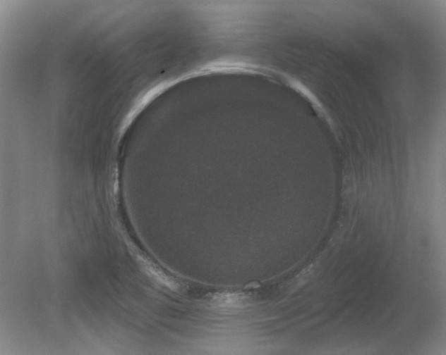 X0000080181461200612081348