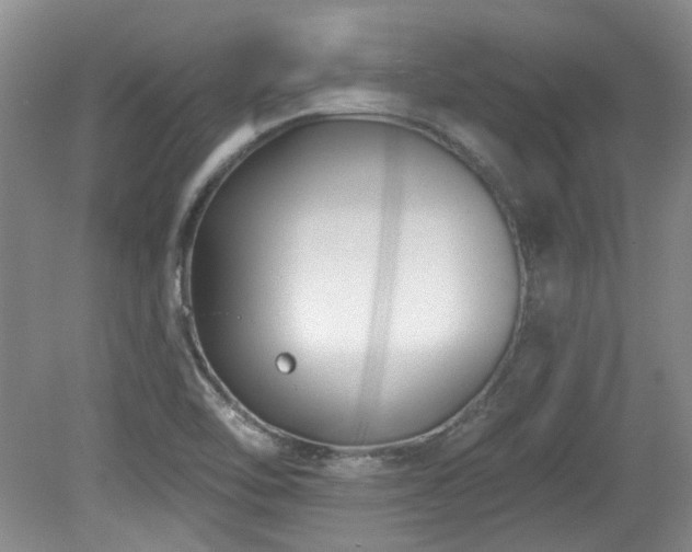 X0000080181462200612081348