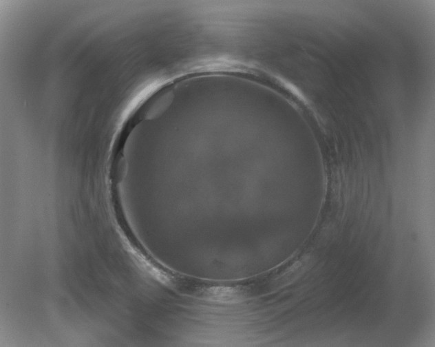 X0000080181463200612081348