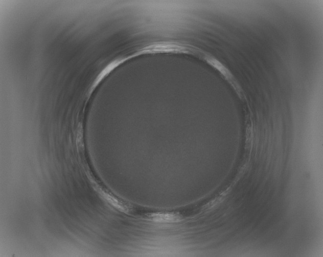 X0000080181465200612081348